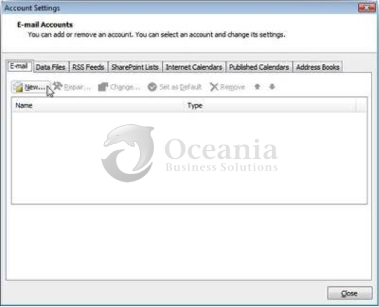 Setting up an email account in Outlook 2007 Fig 2